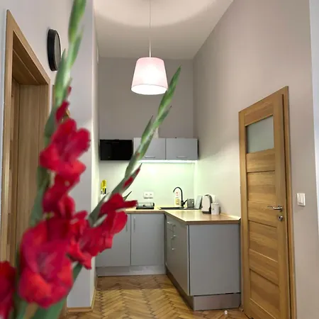 Przytulne Mieszkania Na Wynajem Krakau